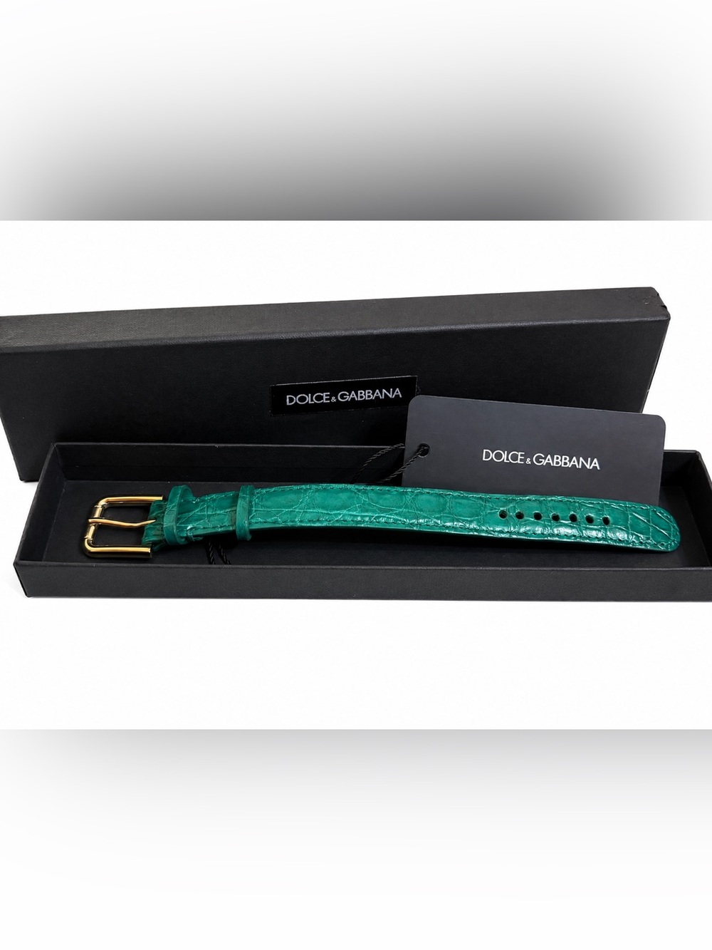 DOLCE & GABBANA Green Exotic Leather Gold Tone Metal Buckle Bracelet NWT